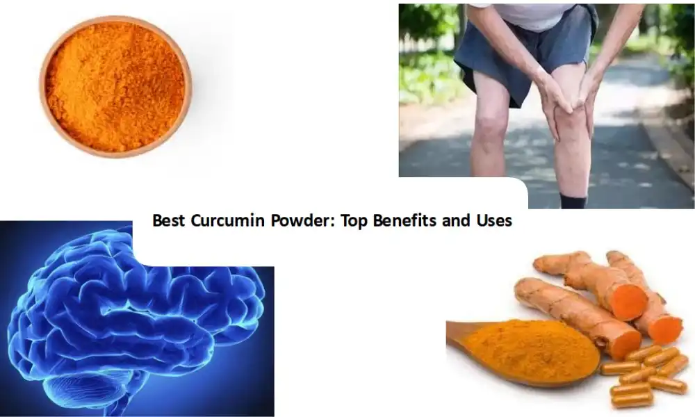 Best Curcumin Powder: Top Benefits and Uses